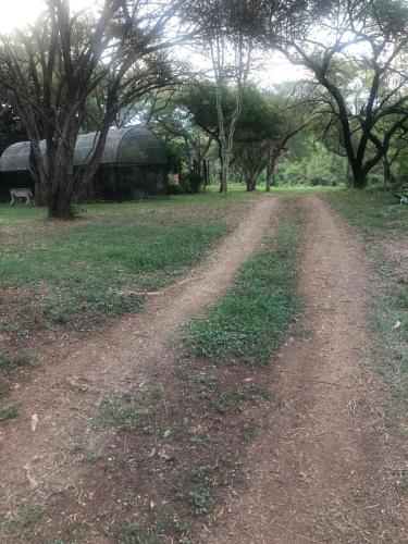 Uitpak, Barberton (foto 10)