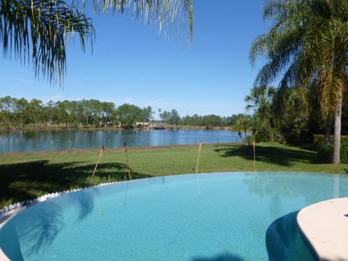 Swimming pool, Stever Llc in Clermont (FL)