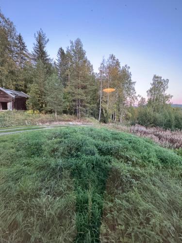 Charmig villa med 3 sovrum i Ljungaverk