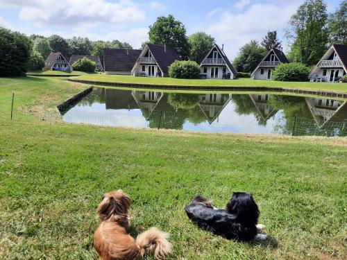  De Gouwe, 158 - aan visvijver, de beste visstek in Gramsbergen
