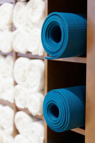 فندق أي سي شيكاغو داونتاون ماريوت، فندق ماريوت لوكشوري آند لايف ستيل