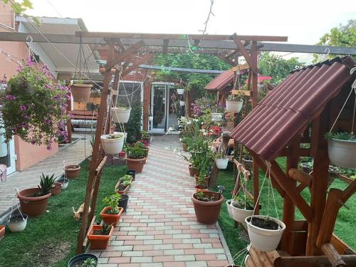 สวน, Pensiunea Alexa in บาเกา