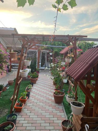 สวน, Pensiunea Alexa in บาเกา