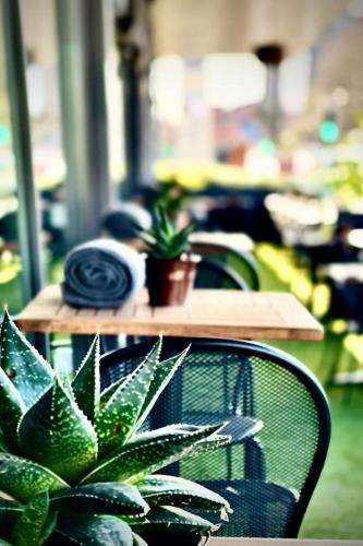 AC Hotel by Marriott Manchester Salford Quays - image 11