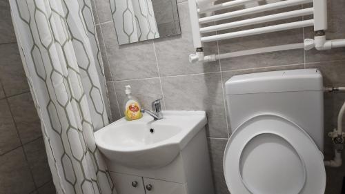 ห้องน้ำ, Pensiunea Alexa in บาเกา