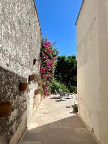 Salento - Casa Pietrastella, Presicce (photo 6)