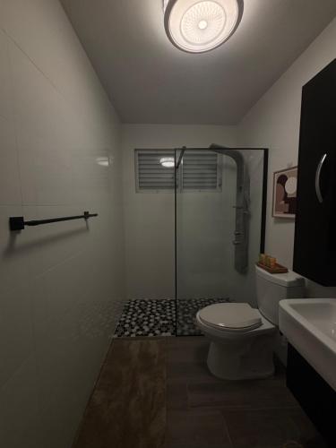 Boho Yunque Studio in Rio Grande