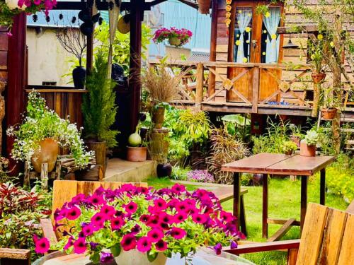 Ôna's House - Homestay Pleiku - 정원
