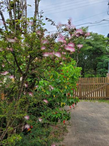 Casa campeche 30 metros da praia