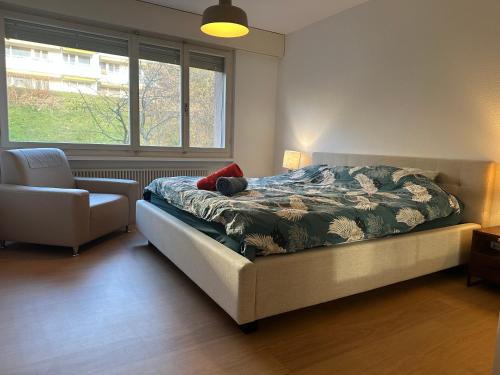 Lovely room, 15 min from center, mountain view, Zúrich (foto 10)