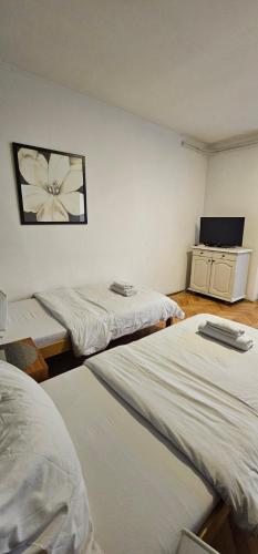 Apartment - Ground Floor image 4