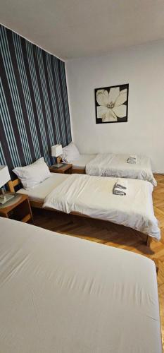 Apartment - Ground Floor image 3
