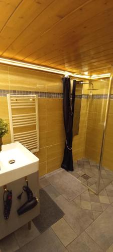 LOGE DE L'OPERA - image 9