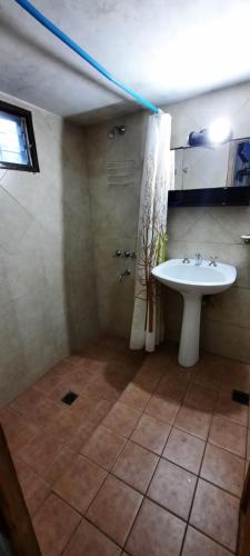 Rincón del Sauce, Potrerillos (Foto 4)