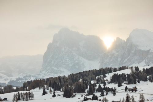 Alpina Dolomites - main image