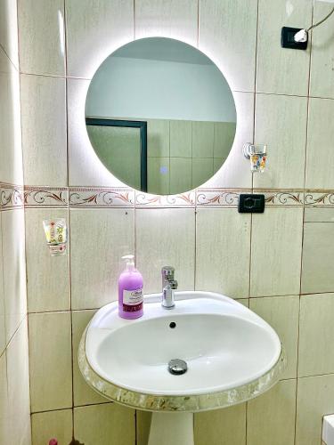 One-Bedroom Apartment image 5