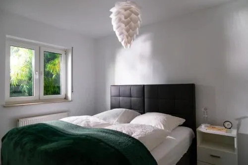 Apartment 1 in Bad König, Deutschland