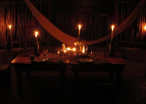 barefoot jungle studios barefoot jungle studios