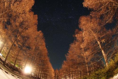 Yatsugatake Kogen Lodge