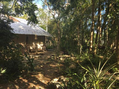 Exterior view, barefoot jungle studios in Macario Gomez