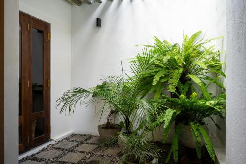 Villa with Private Pool image 10