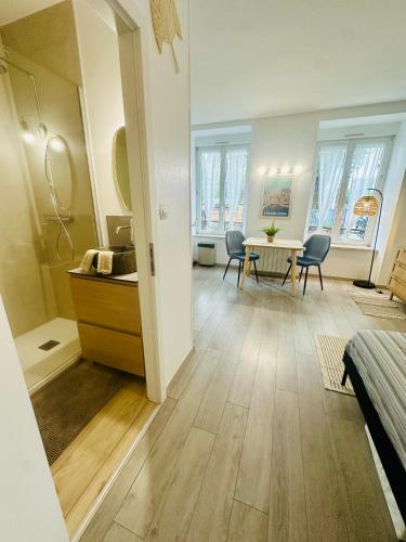 Studio, gare, Petite France, hypercentre, Strasbourg (photo 9)