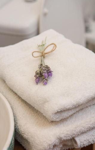 Pampa y Saboya in 比利亞埃利薩