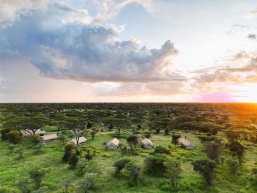 Mediu înconjurător, Africa Safari South Serengeti Ndutu Camping in Ngorongoro