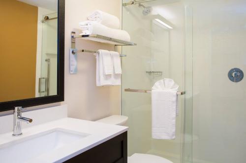 Fairfield by Marriott Inn & Suites Raynham Middleborough/Plymouth - 화장실