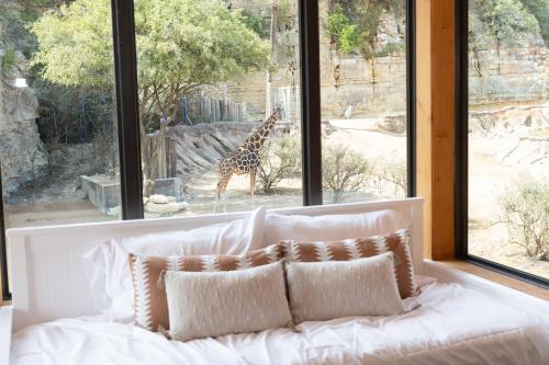 San Antonio Zoo - Spekboom Lodge - 전망