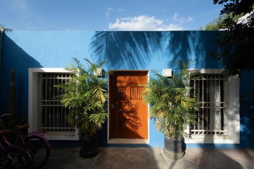 La Sultana: Amazing new house with pool and bikes included. in Valladolid, Mexico
