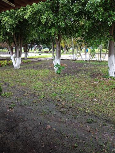 Dārzs, Lodging and camping the island in Tlaquiltenango