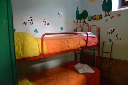 Nature and genuine hospitality - image 6