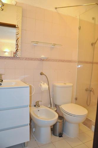Comfortable and well equipped terrace villa with private pool and air conditioni - image 7