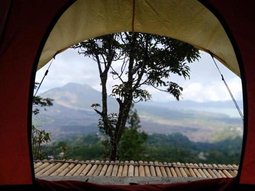Surrounding environment, The Panorama Batur Camp in Kintamani