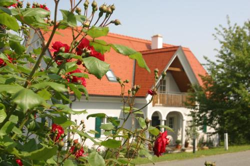 Gäste- und Vitalhaus Sauer - Accommodation - Kitzeck im Sausal