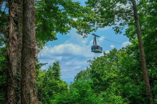 The Ravens Nest in Gatlinburg, USA