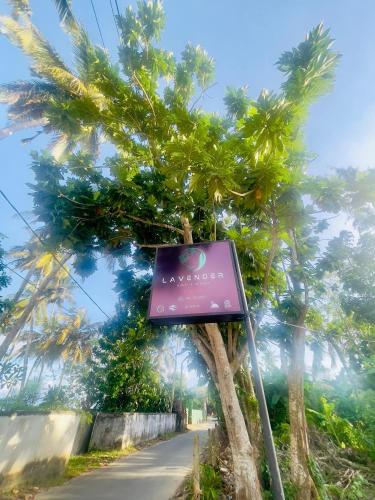 Lavender, Matara (foto 6)