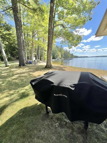 BEAR POINT LIMIT 15 villa - image 10