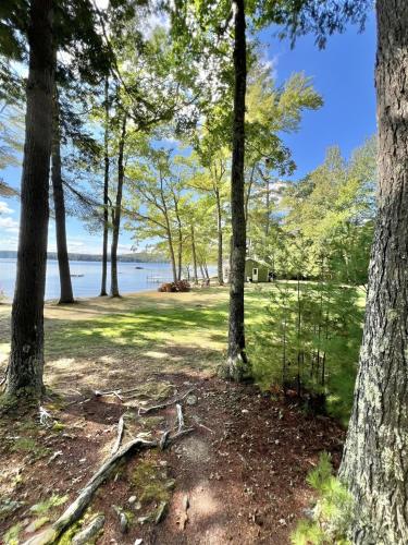 BEAR POINT LIMIT 15 villa - image 7