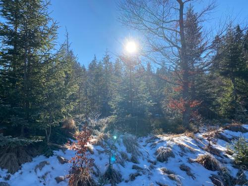 周邊環境, Appartement am See in 海德米勒