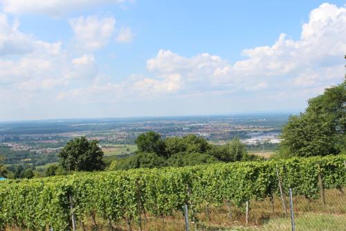 View, Schone Aussicht in Alzenau in Unterfranken