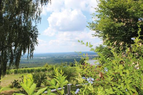 Kilátás, Schone Aussicht in Alzenau