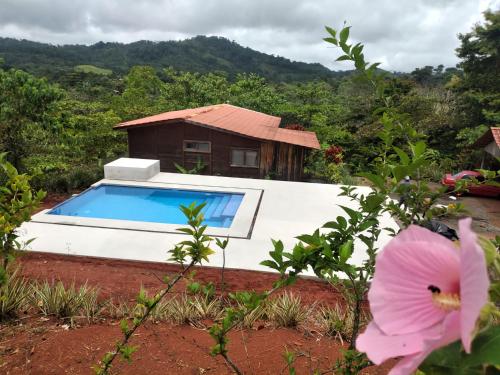 Jaco-Carara 3 bdrm surrounded by rainforest with private pool in การารา