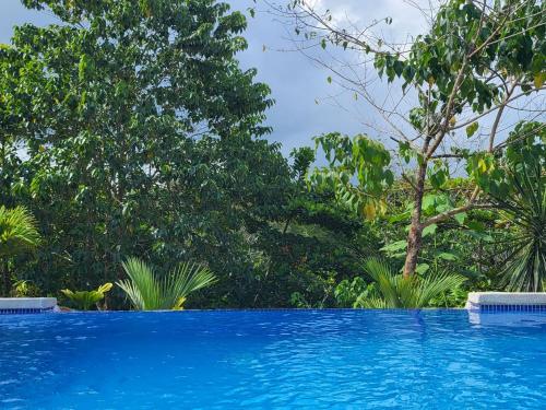 Jaco-Carara 3 bdrm surrounded by rainforest with private pool in การารา
