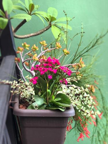 Lovely apartment on 2 floors with sea view - image 9