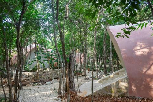 Room in Lodge - Eco-lush Double Mayan Dome Cenote And Bikes in Tulum, Mexico