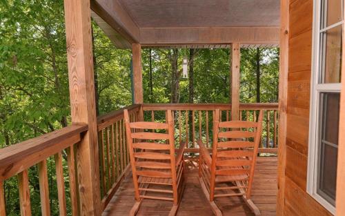 Honey Bear Heaven in Gatlinburg, USA