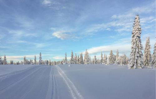 Exterior view, Lovely Home In Sjusjøen With Wifi in Sjusjoen