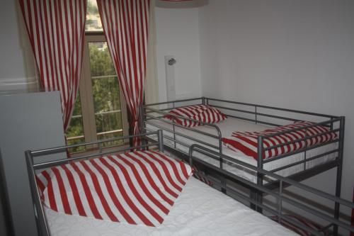 Hostel 402 - image 5